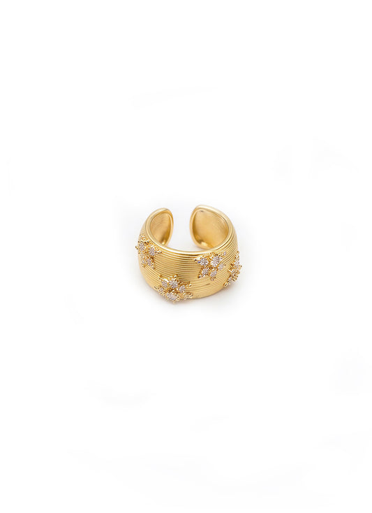 Anello a fascia