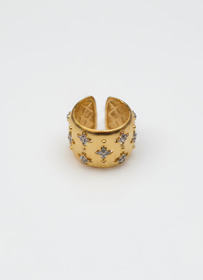 Anello a fascia