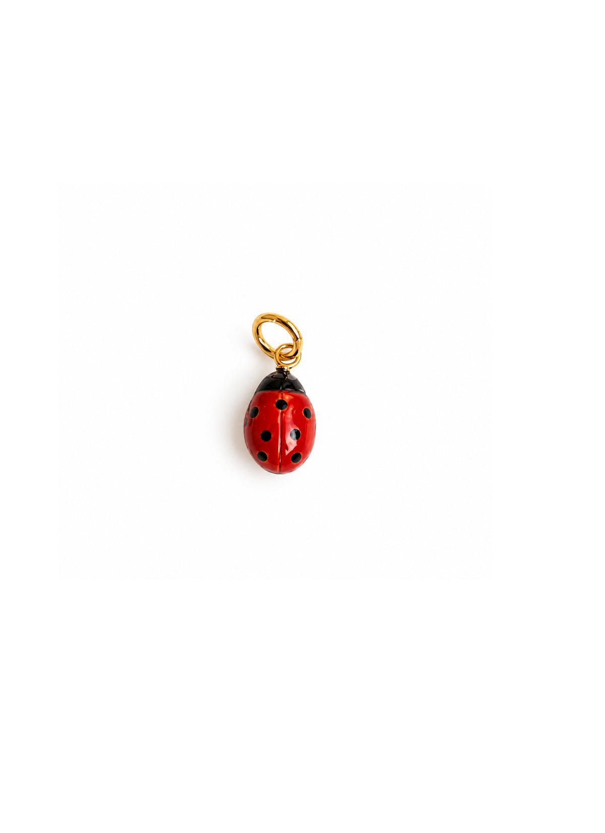 Coccinella