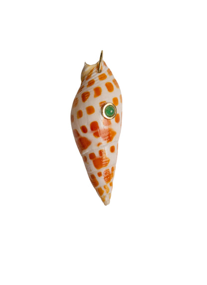 Conchiglie