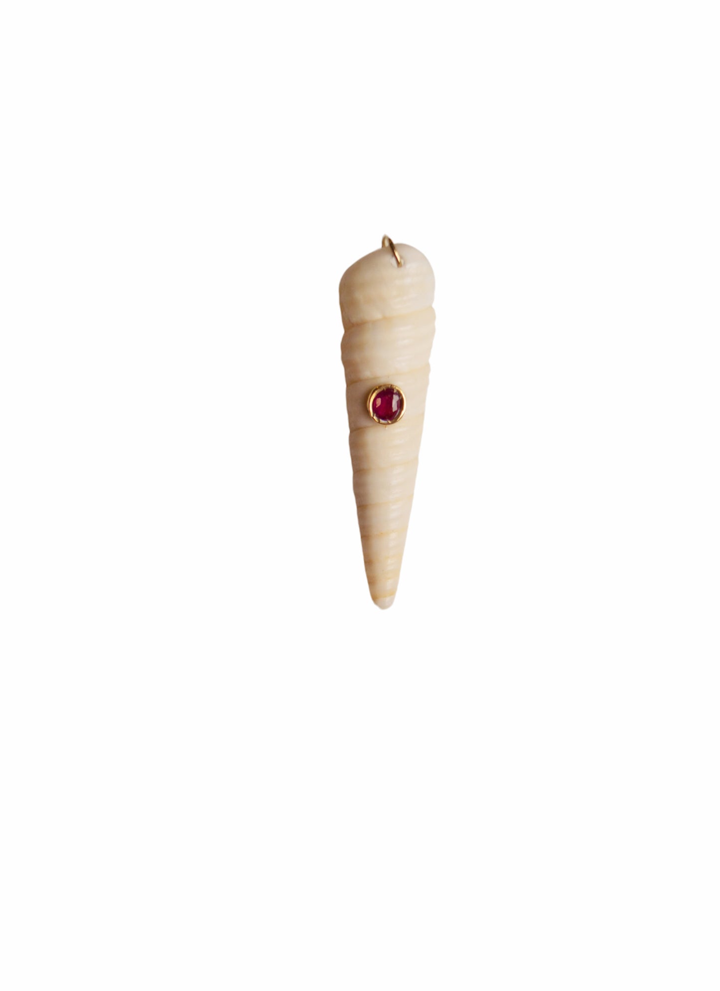 Conchiglie