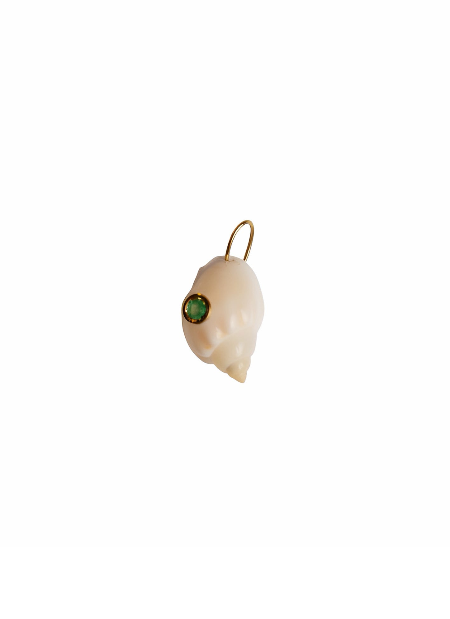 Conchiglie