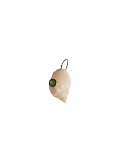 Conchiglie
