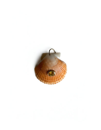 Conchiglie