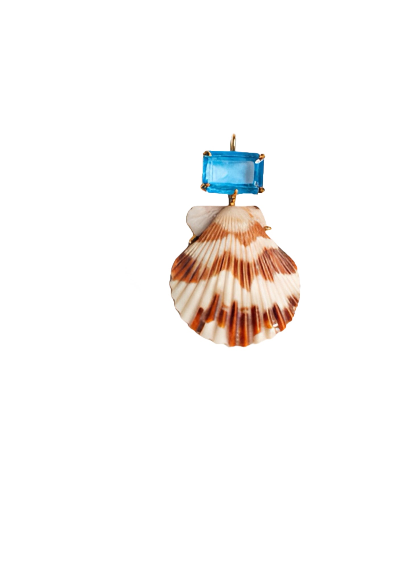 Conchiglia