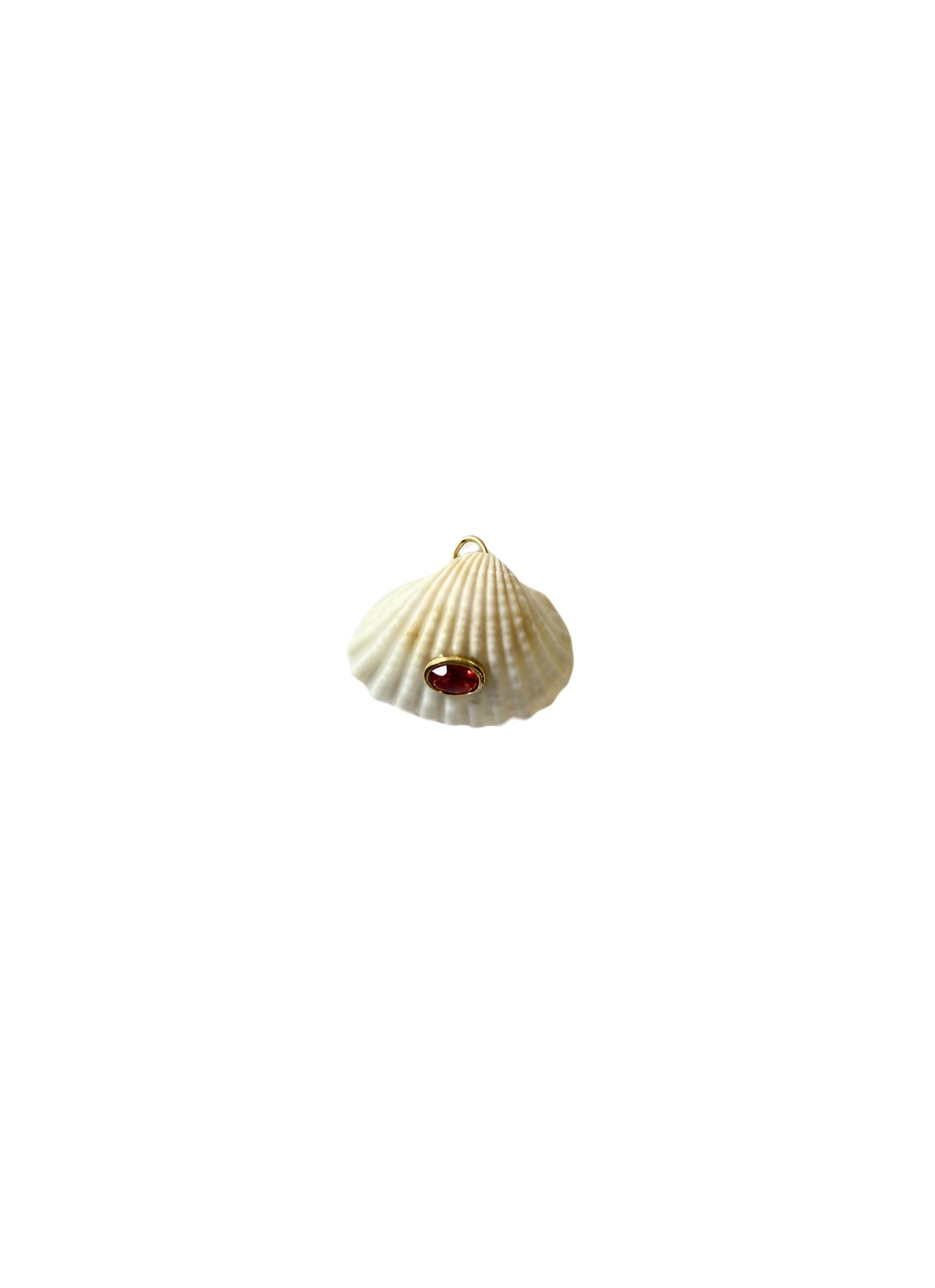 Conchiglie