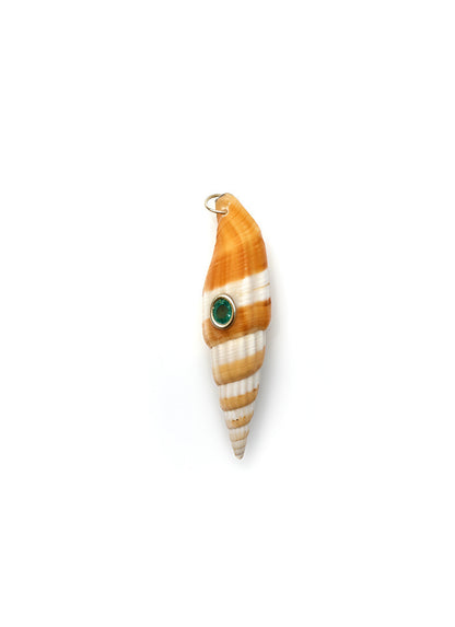 Conchiglie
