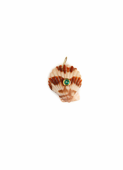 Conchiglie