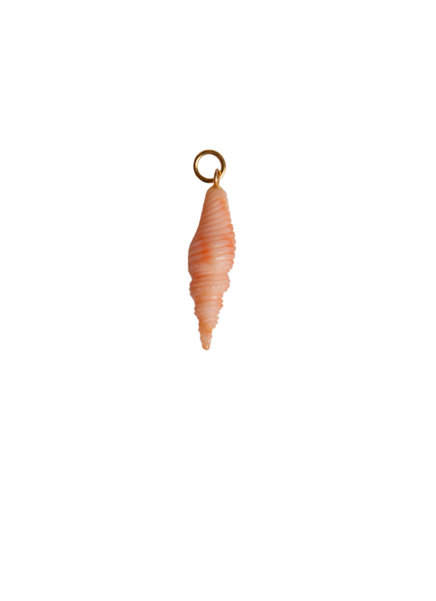 Conchiglia