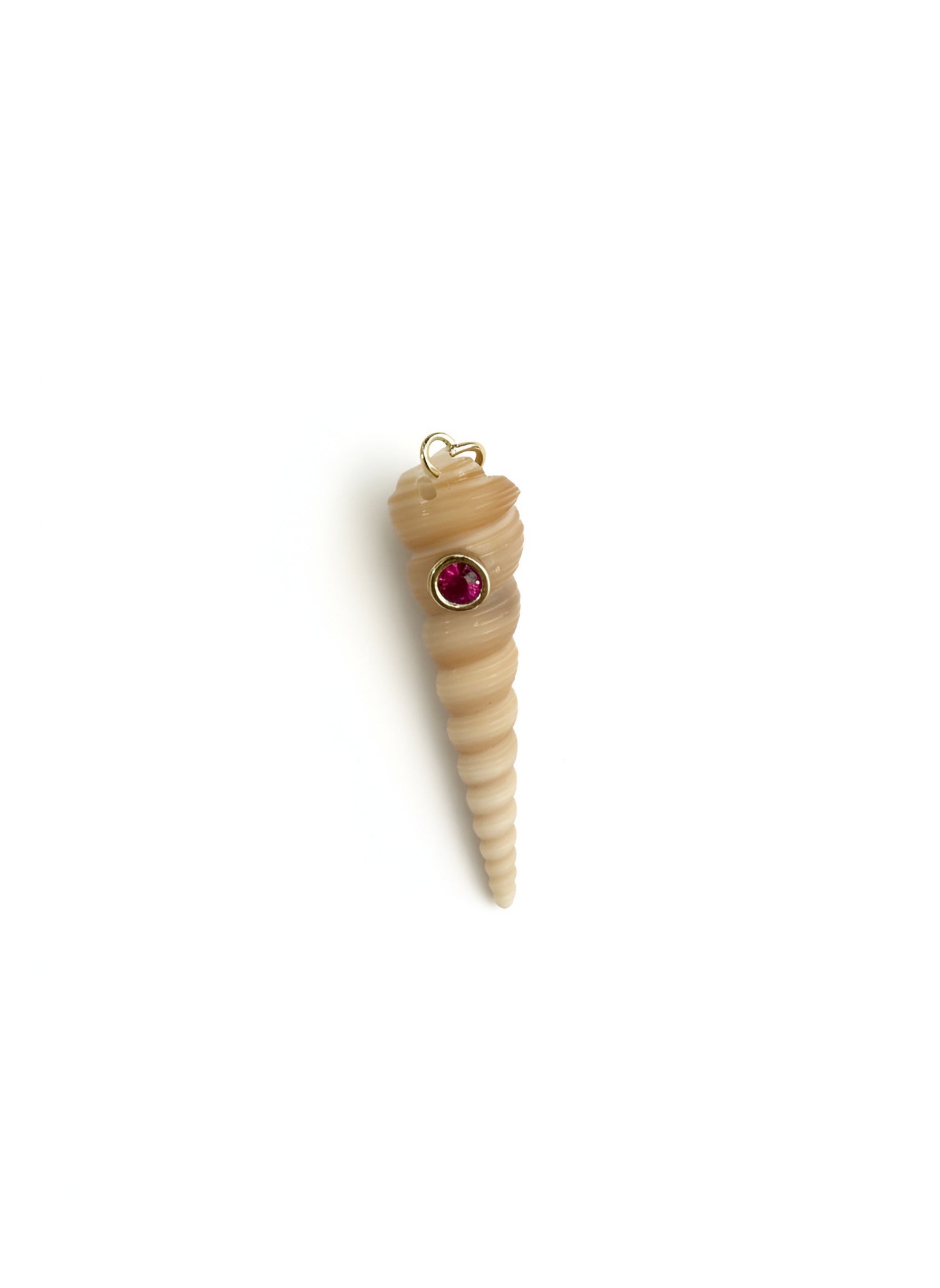 Conchiglie
